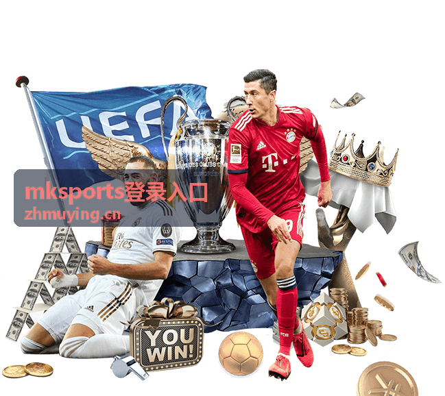 mksports登录入口访问异常排查方法
