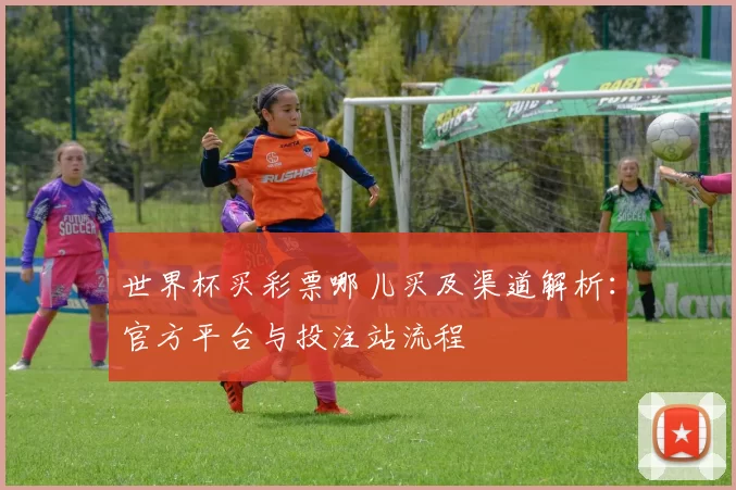 世界杯买彩票哪儿买及渠道解析：官方平台与投注站流程