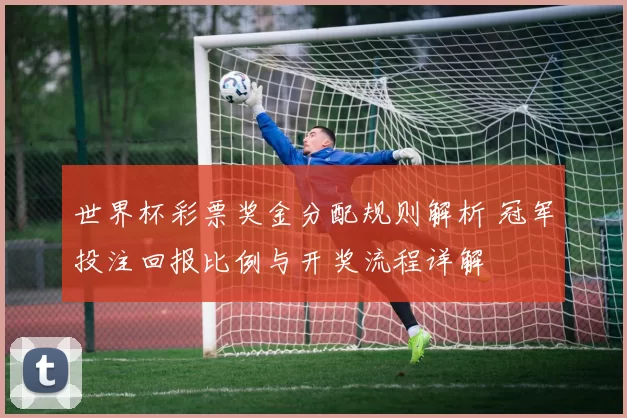 世界杯彩票奖金分配规则解析 冠军投注回报比例与开奖流程详解