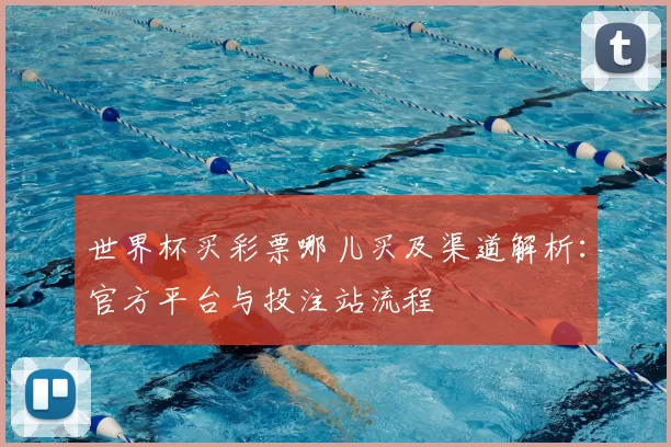 世界杯买彩票哪儿买及渠道解析：官方平台与投注站流程