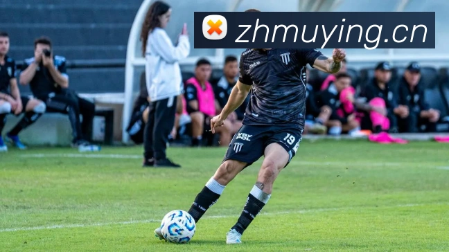 奖项证书