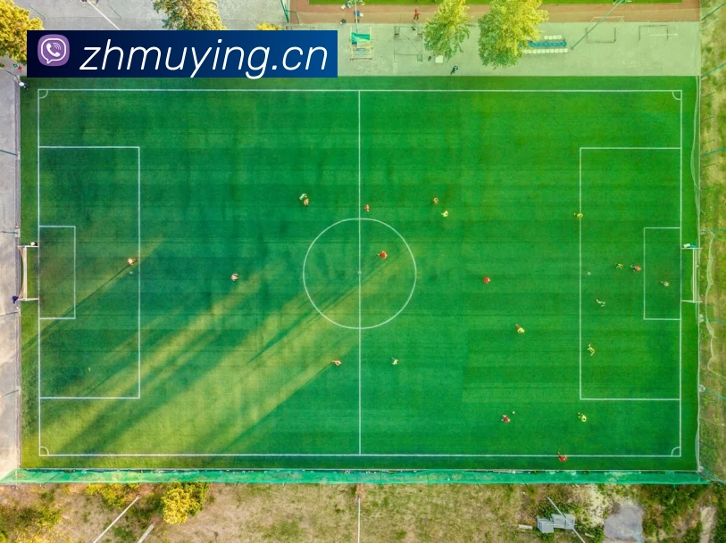 数据防护可视化